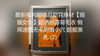 最新福利姬极品窈窕身材【猫猫女仆】超诱惑露背毛衣 假屌速插无毛粉嫩小穴 超靓美乳 (2)