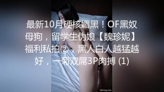 最新10月硬核媚黑！OF黑奴母狗，留学生伪娘【魏珍妮】福利私拍②，黑人白人越猛越好，一菊双屌3P肉搏 (1)