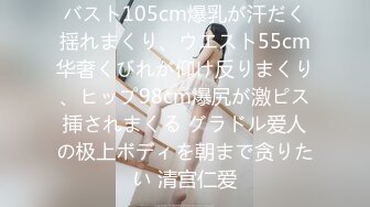 バスト105cm爆乳が汗だく揺れまくり、ウエスト55cm华奢くびれが仰け反りまくり、ヒップ98cm爆尻が激ピス挿されまくる グラドル爱人の极上ボディを朝まで贪りたい 清宫仁爱