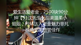 爱生活爱老金，2500块90分钟【91沈先生】甜美温柔小姐姐，PUA达人老金魅力非凡，视角完美撸管佳作