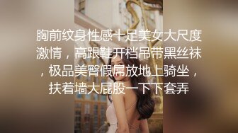 胸前纹身性感十足美女大尺度激情，高跟鞋开档吊带黑丝袜，极品美臀假屌放地上骑坐，扶着墙大屁股一下下套弄