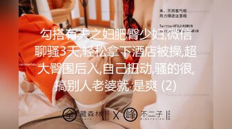 勾搭有夫之妇肥臀少妇,微信聊骚3天,轻松拿下酒店被操,超大臀围后入,自己扭动,骚的很,搞别人老婆就 是爽 (2)