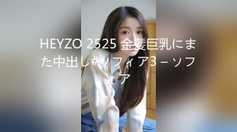 HEYZO 2525 金髪巨乳にまた中出し#ソフィア3 – ソフィア