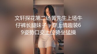 文轩探花第二场黄先生上场牛仔裤长腿妹子，穿上情趣装69姿势口交上位骑坐猛操