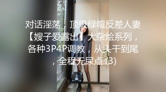 对话淫荡，顶级绿帽反差人妻【嫂子爱露出】大杂烩系列，各种3P4P调教，从头干到尾，全程无尿点 (3)