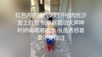 红色内衣骚气少妇开裆肉丝沙发上自慰 按摩器震动大声呻吟娇喘高潮喷水 很是诱惑喜欢不要错过